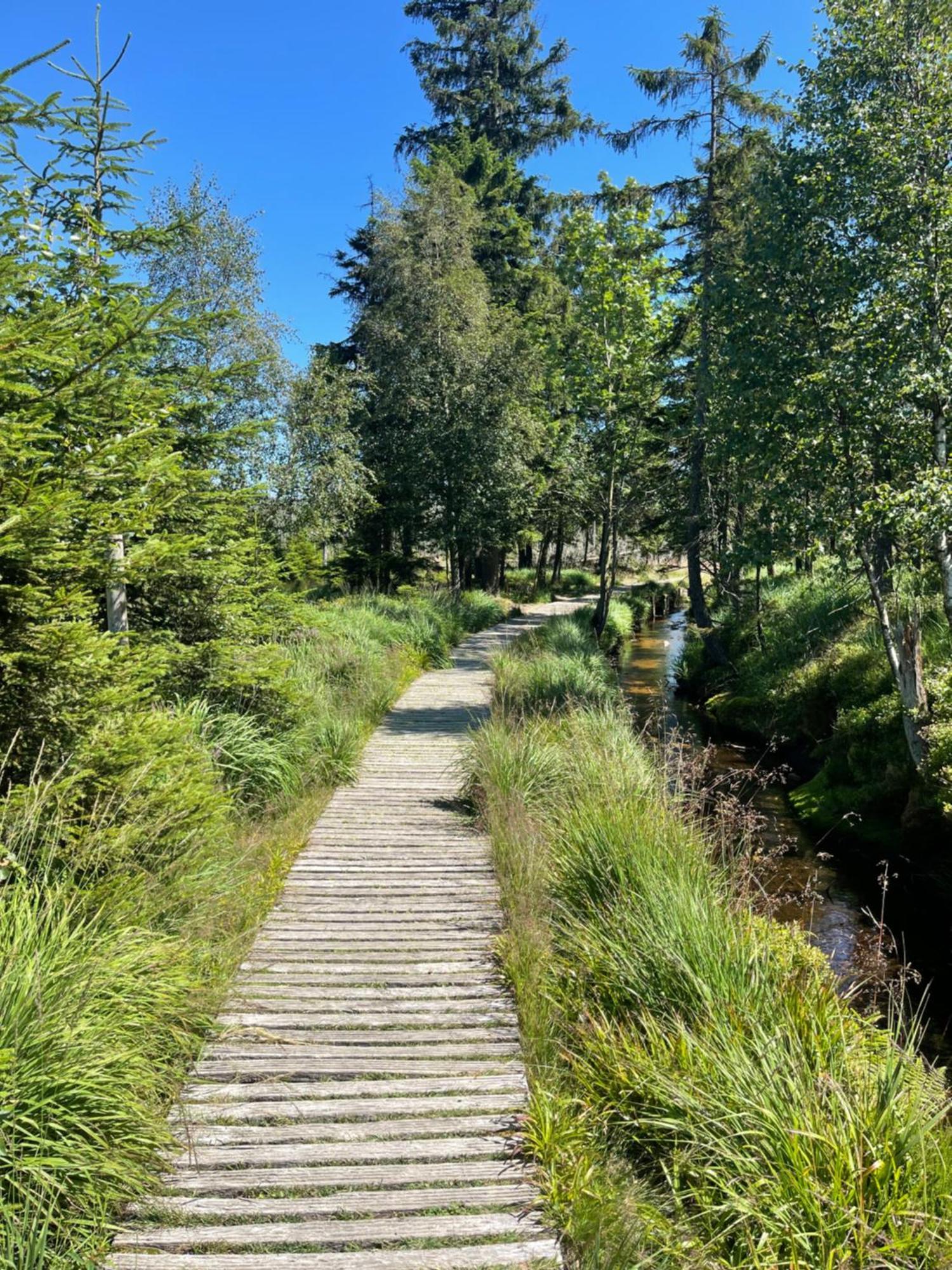 Harz Escape Lägenhet Torfhaus Exteriör bild